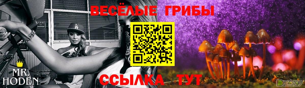 Псилоцибиновые грибы MAGIC MUSHROOMS  Вход с VPN  Щёлково 